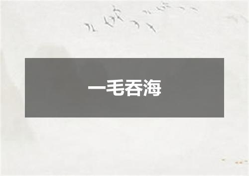 一毛吞海