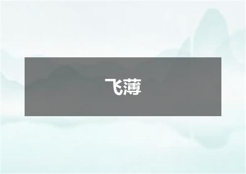 飞薄