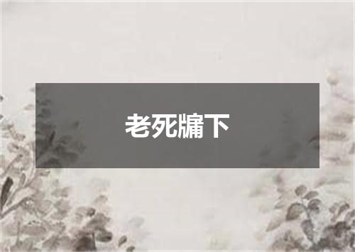 老死牖下