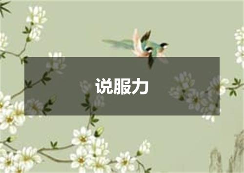说服力