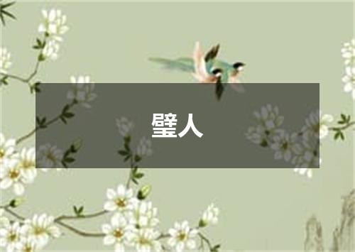 璧人
