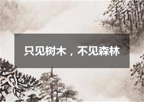 只见树木，不见森林
