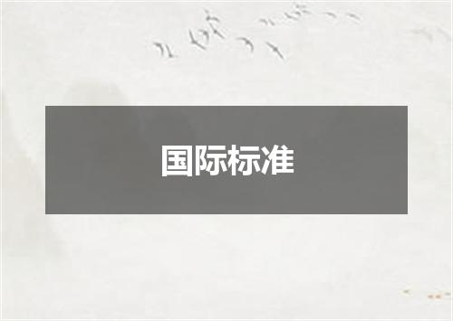 国际标准