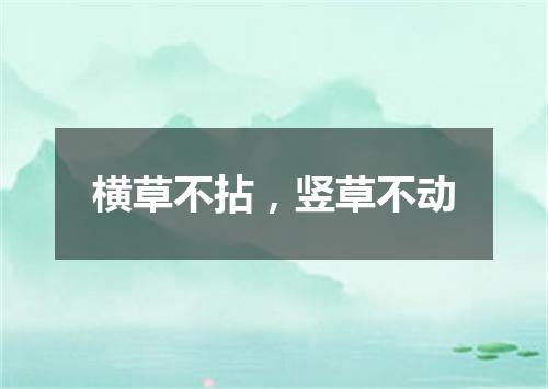 横草不拈，竖草不动