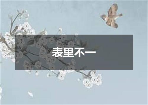表里不一