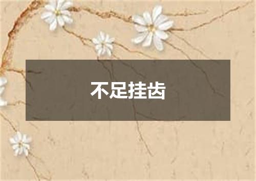 不足挂齿