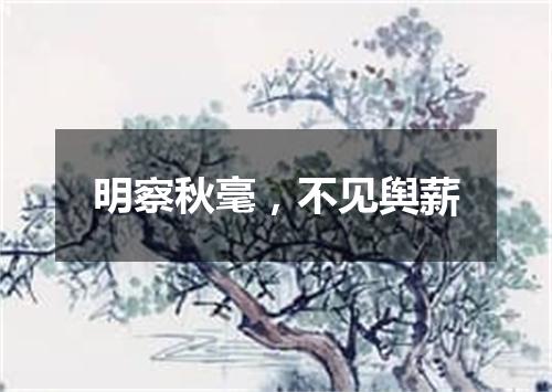 明察秋毫，不见舆薪