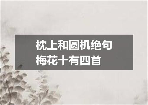 枕上和圆机绝句梅花十有四首