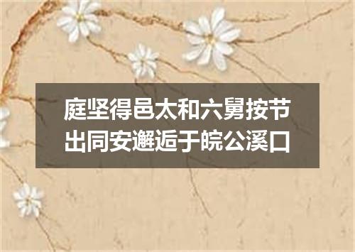 庭坚得邑太和六舅按节出同安邂逅于皖公溪口