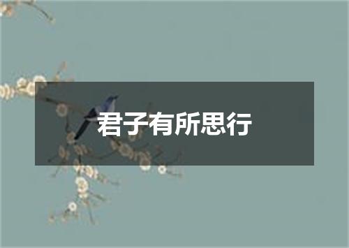 君子有所思行
