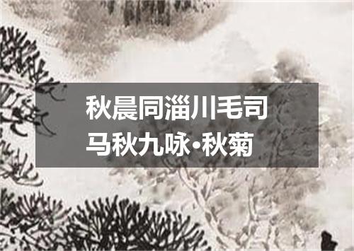 秋晨同淄川毛司马秋九咏·秋菊