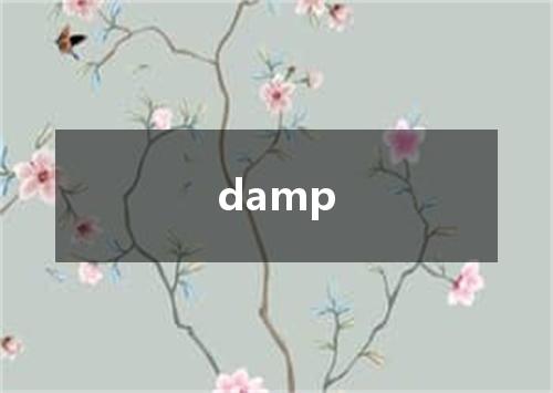 damp是什么意思