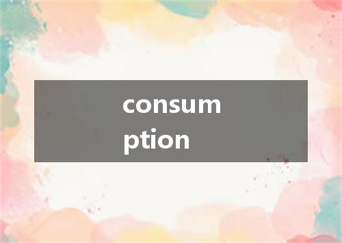 consumption是什么意思