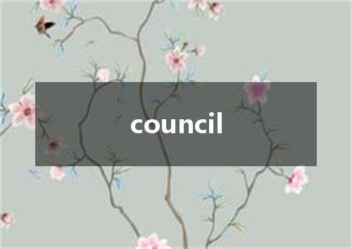 council是什么意思