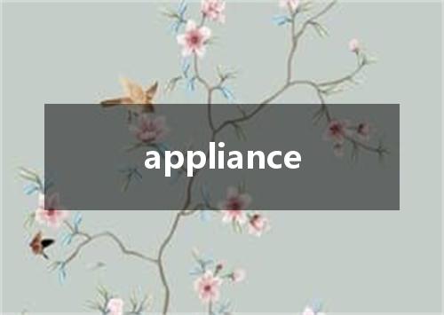 appliance是什么意思