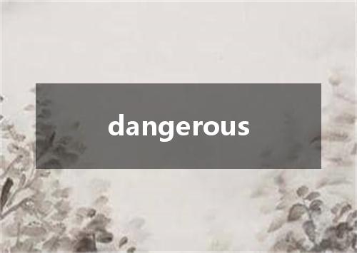 dangerous是什么意思