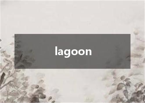 lagoon是什么意思