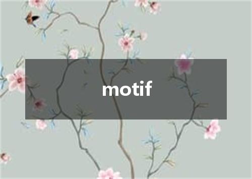 motif是什么意思