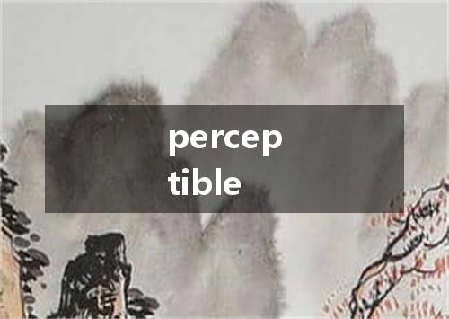 perceptible是什么意思