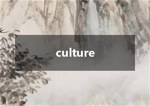culture是什么意思