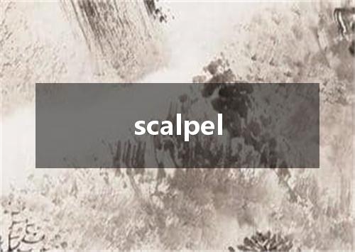 scalpel是什么意思