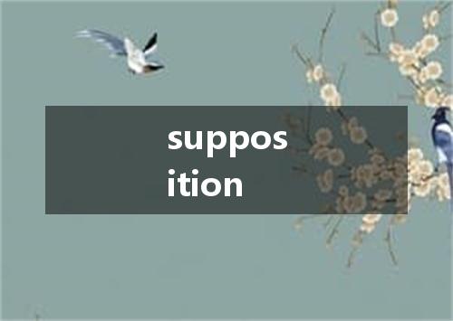 supposition是什么意思