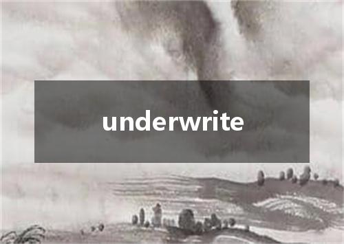 underwrite是什么意思