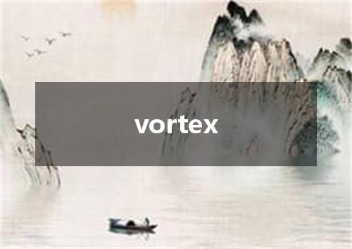 vortex是什么意思