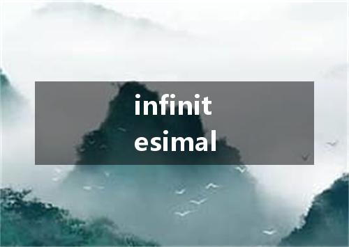 infinitesimal是什么意思