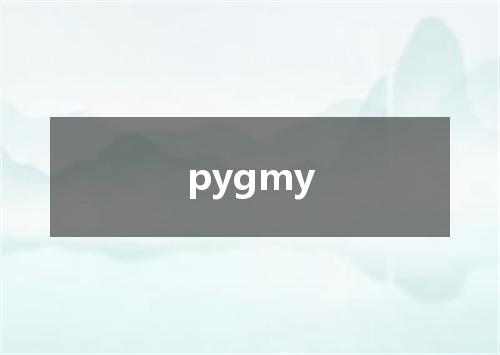 pygmy是什么意思