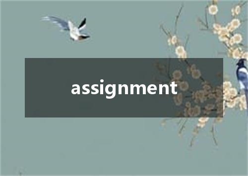 assignment是什么意思