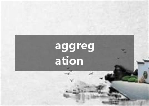 aggregation是什么意思