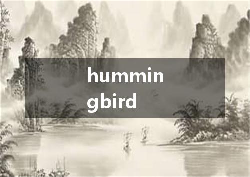 hummingbird是什么意思