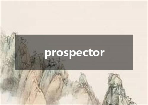 prospector是什么意思