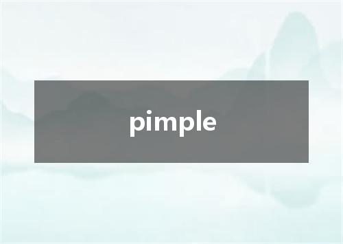 pimple是什么意思