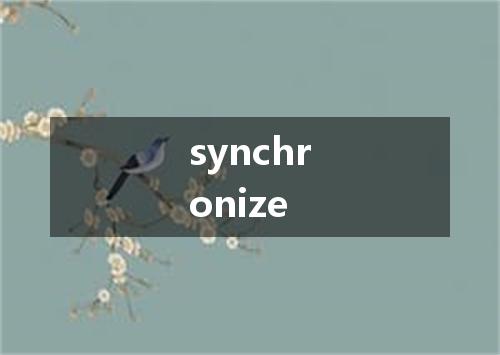 synchronize是什么意思