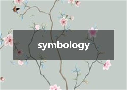 symbology是什么意思