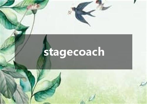 stagecoach是什么意思