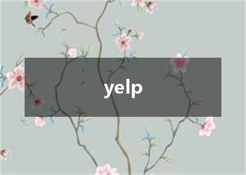 yelp是什么意思