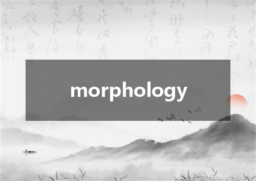morphology是什么意思