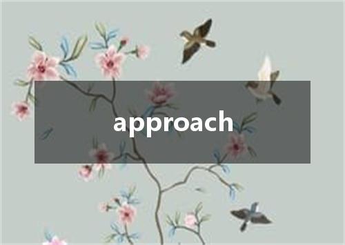 approach是什么意思