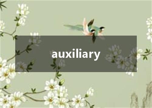 auxiliary是什么意思
