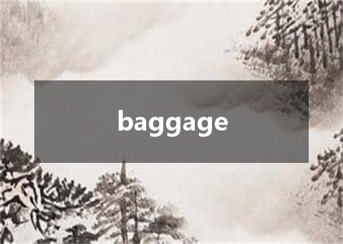 baggage是什么意思