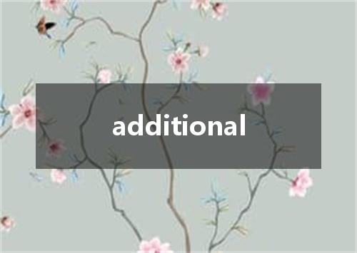 additional是什么意思