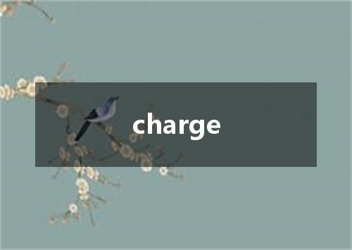 charge是什么意思