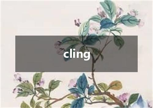 cling是什么意思
