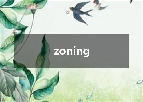 zoning是什么意思