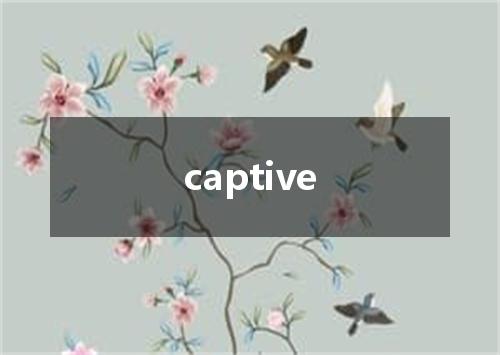 captive是什么意思