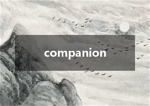 companion是什么意思
