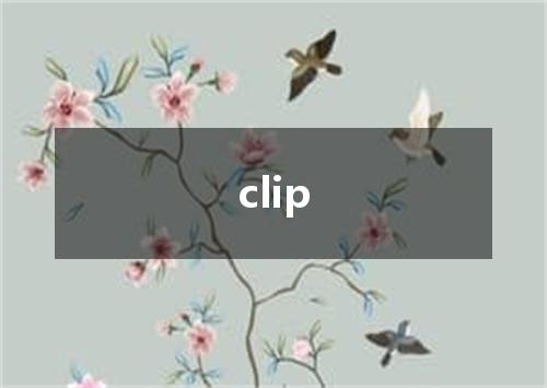 clip是什么意思